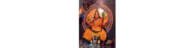 போத்துராஜாமங்கலம்